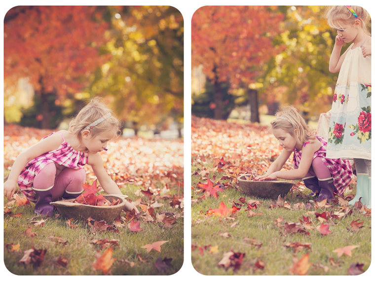 abbey collecting leaves